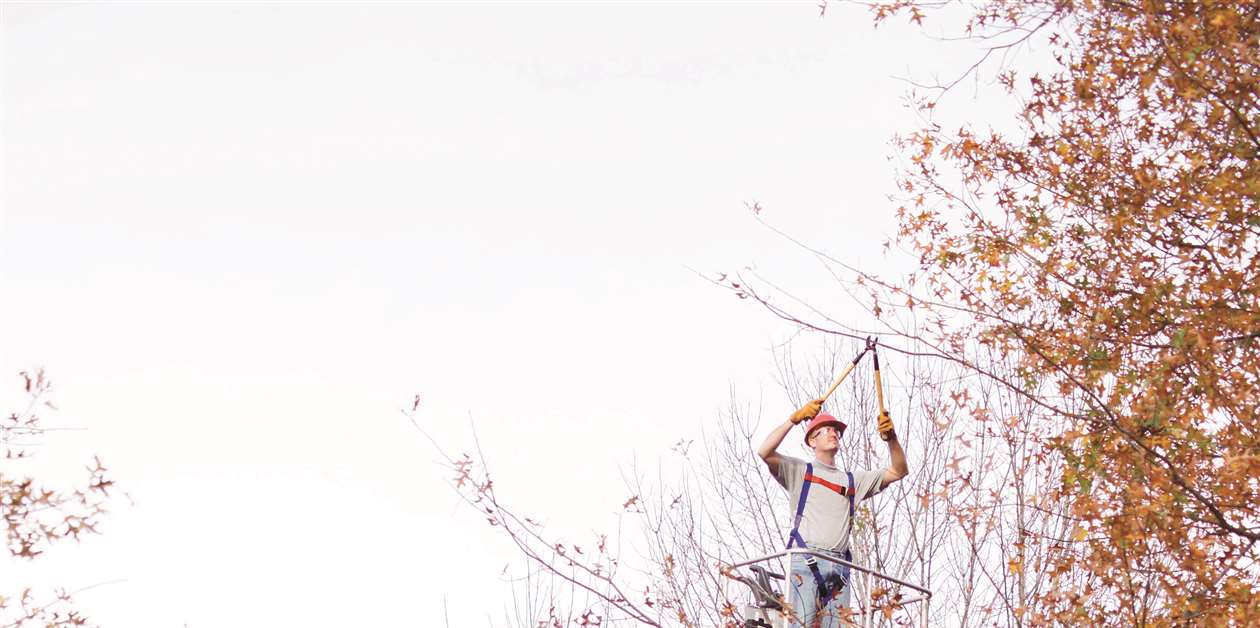 Trailer mounts Growing in popularity Access Briefing