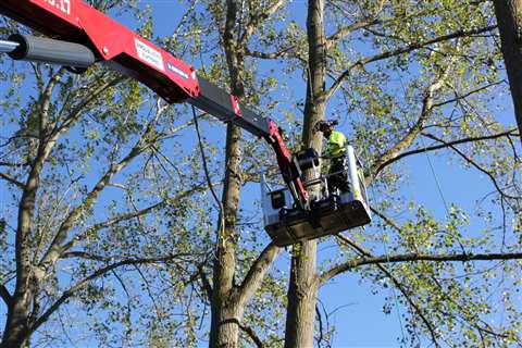 Anglia Access Platforms' new Hinowa Lightlift 33.17 spider lift in action on tree management project.