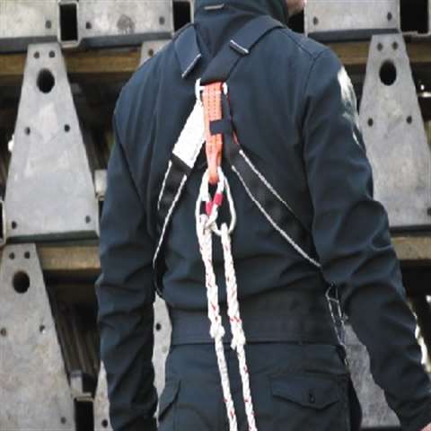 ZT's new Dual Harness